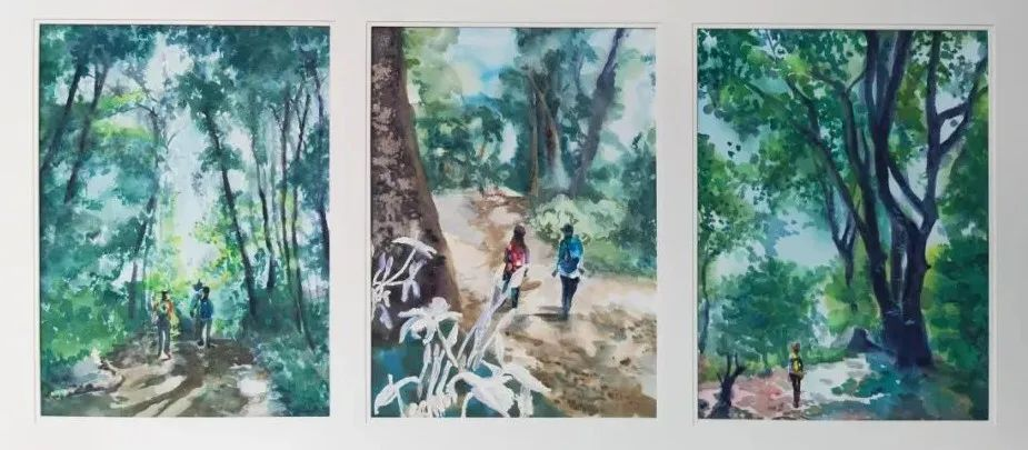 西双版纳傣族自治州人民政府