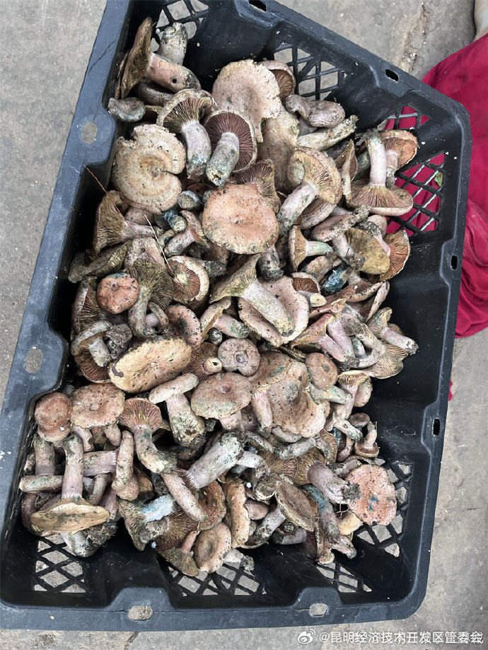 昆明经济技术开发区管委会