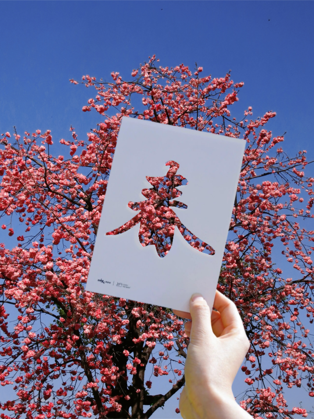 云南省文化和旅游厅