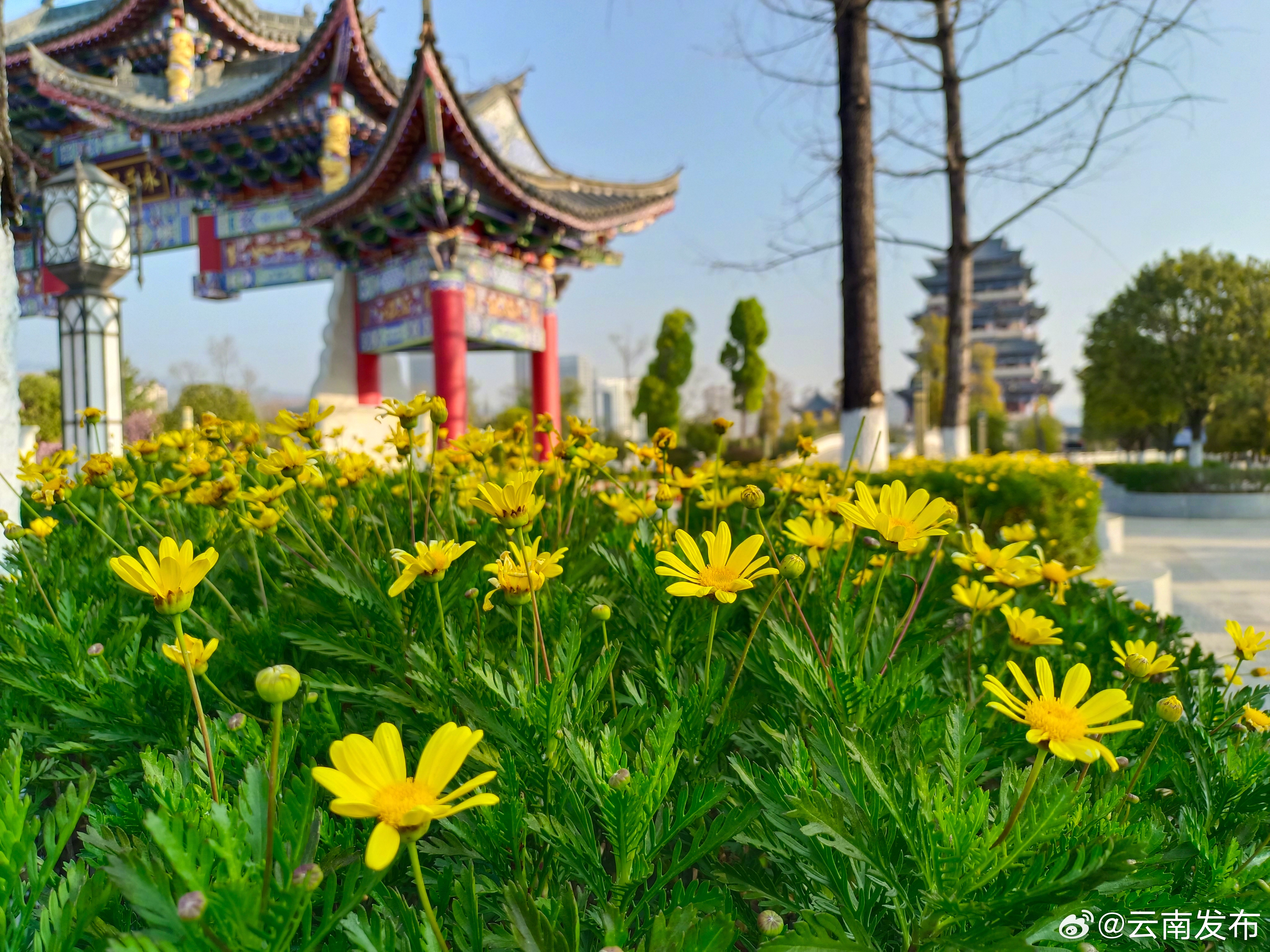云南发布