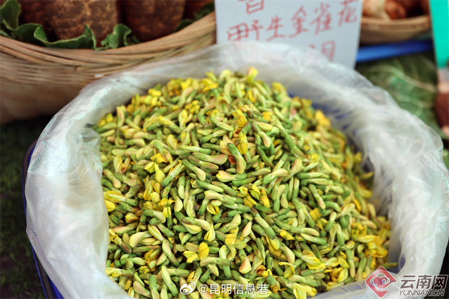 昆明信息港微博