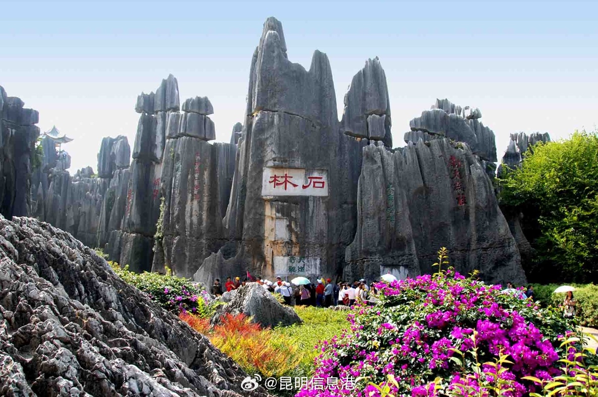 昆明地区女性游石林风景区免票