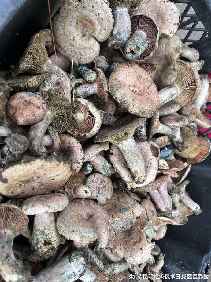 昆明经济技术开发区管委会