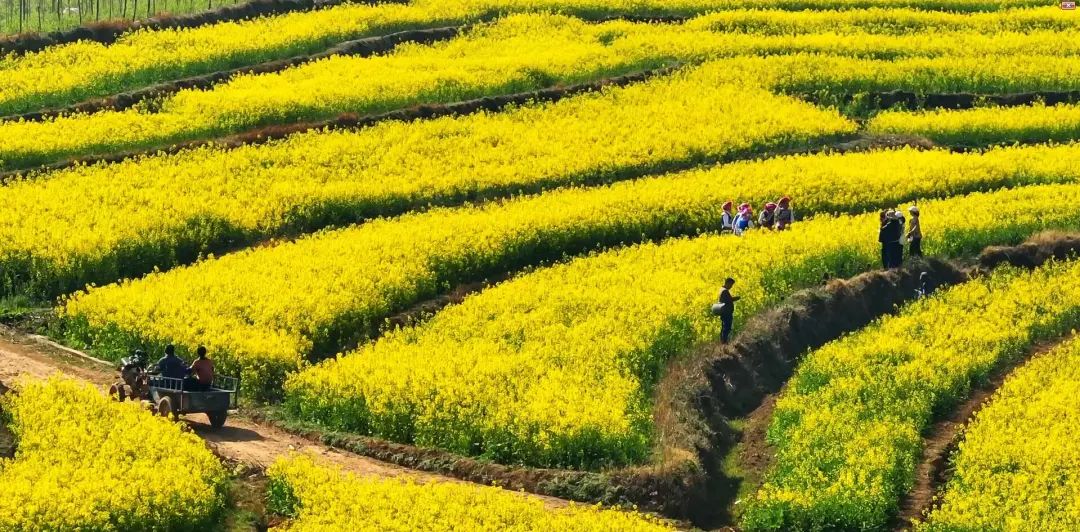 昆明文旅