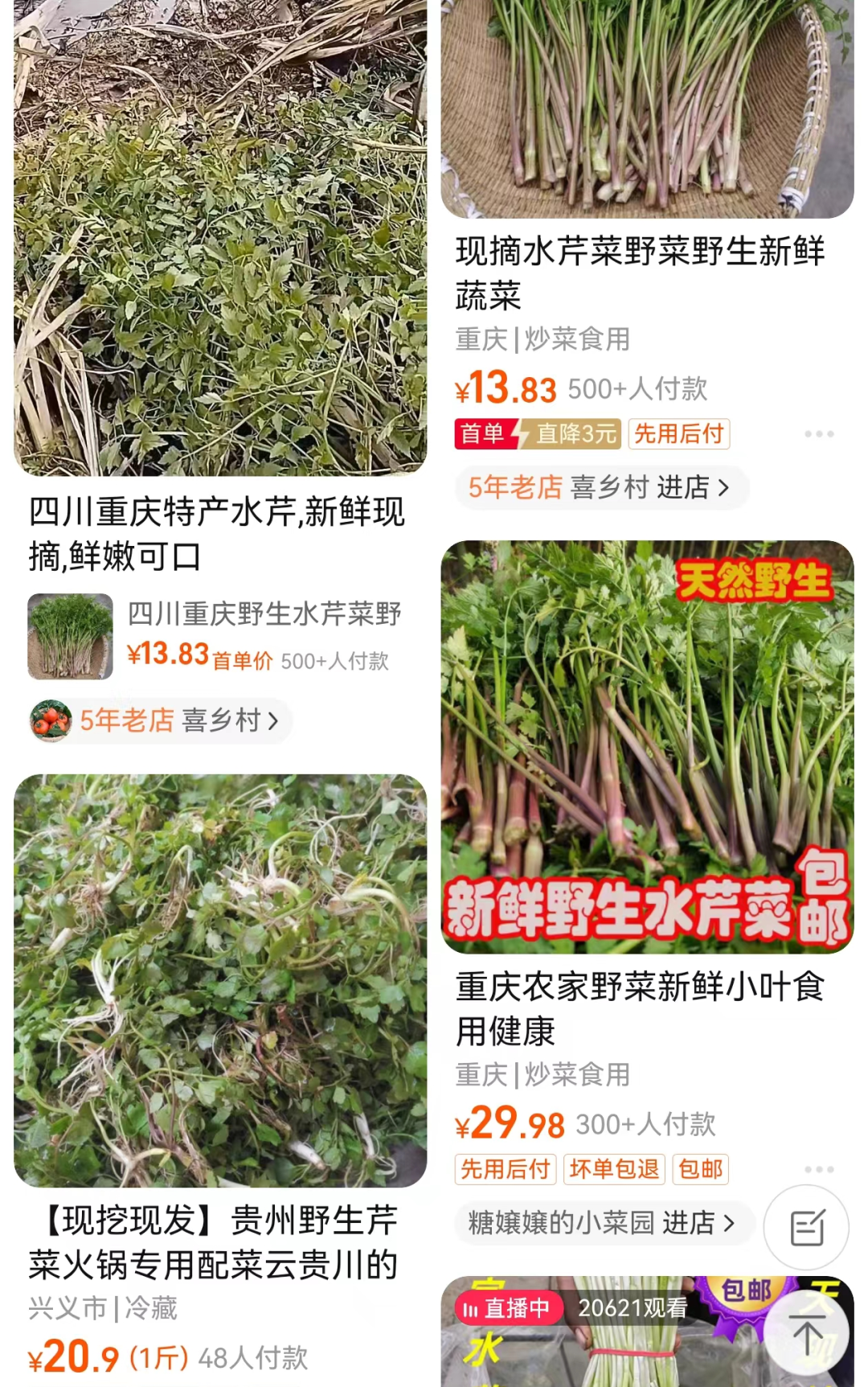 掌上春城微信
