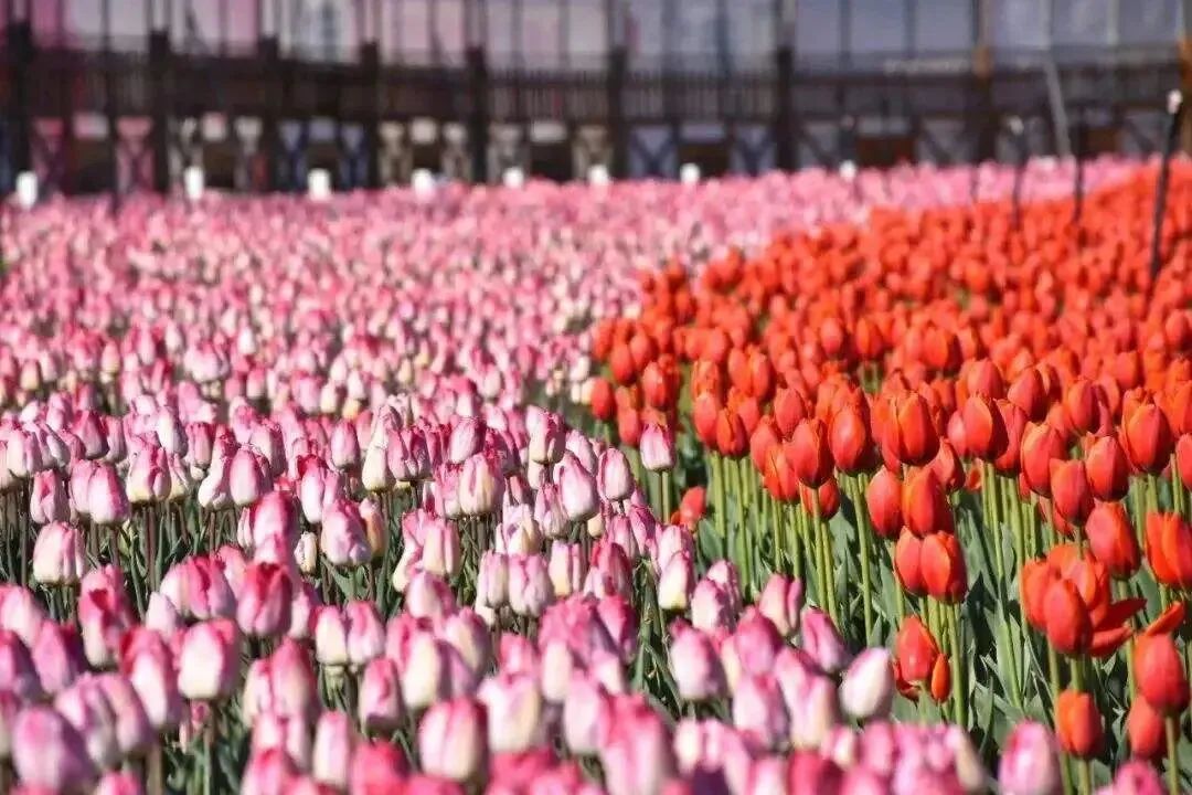昆明文旅