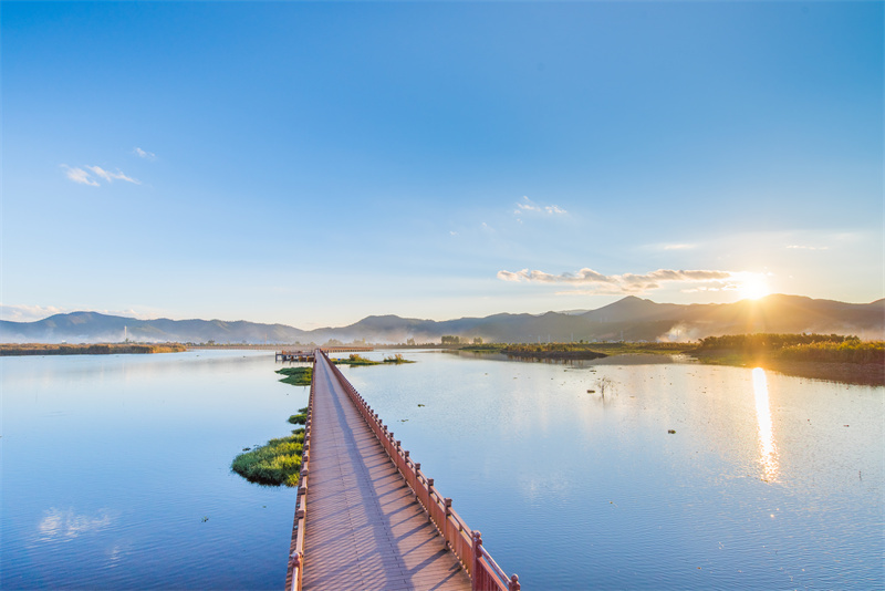 云南省文化和旅游厅