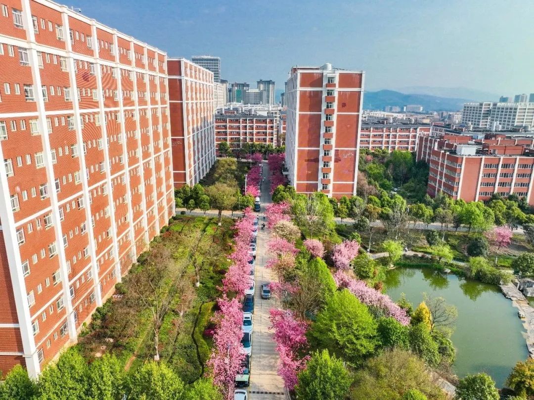 云南省文化和旅游厅