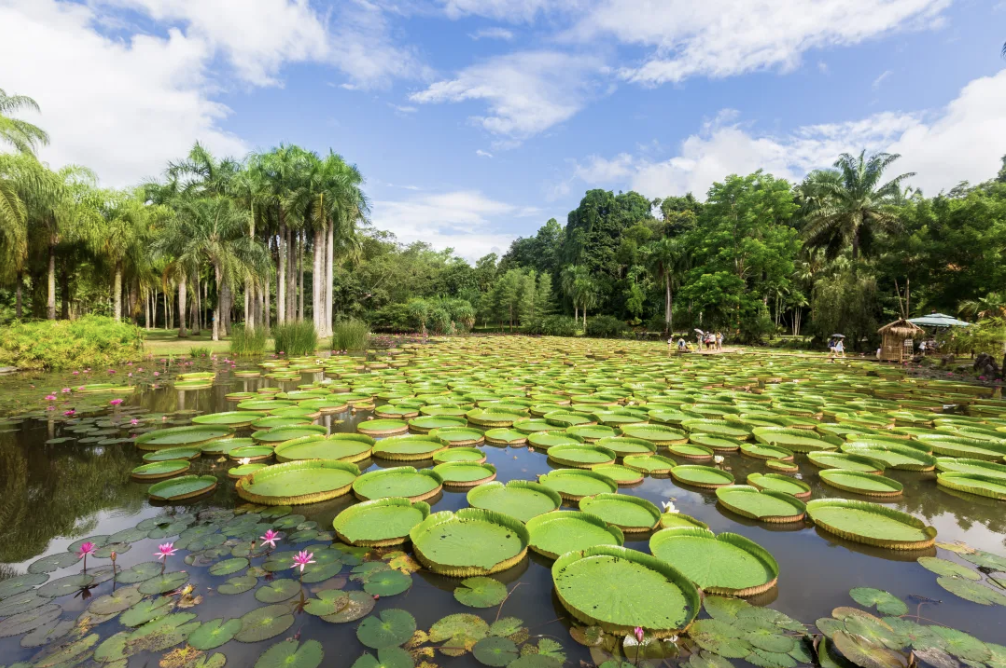 云南省文化和旅游厅