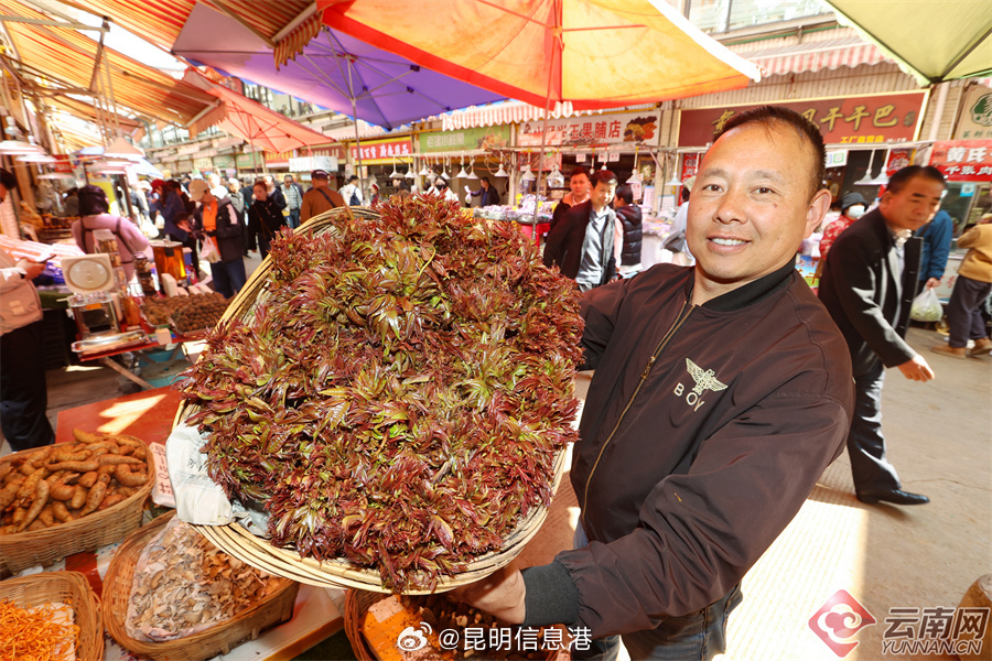 昆明信息港微博