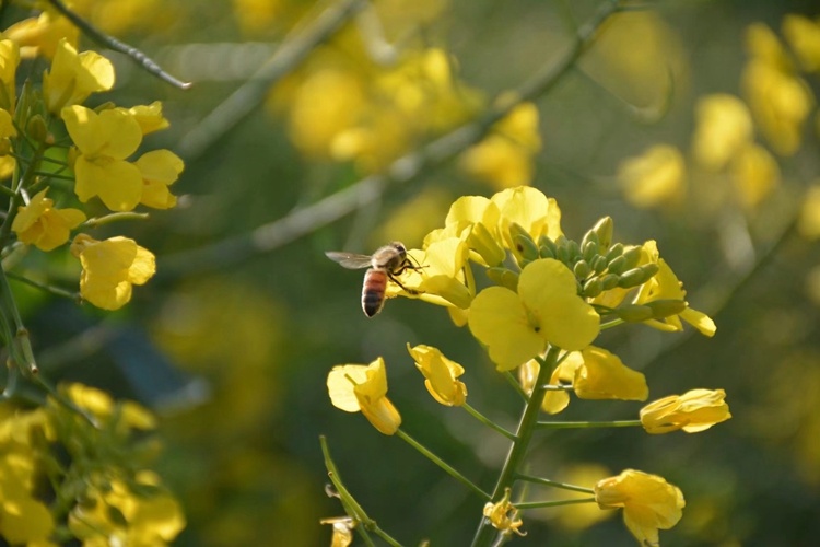 云南省文化和旅游厅