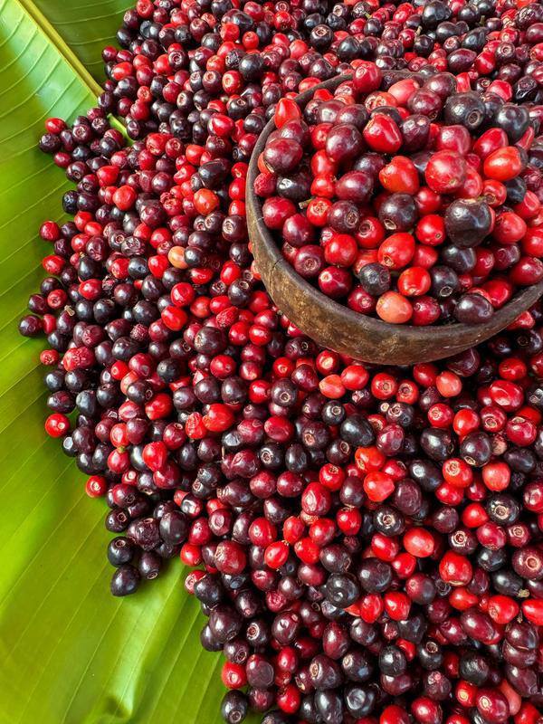 云南省文化和旅游厅