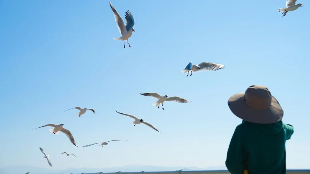 晋宁诗意的栖居地