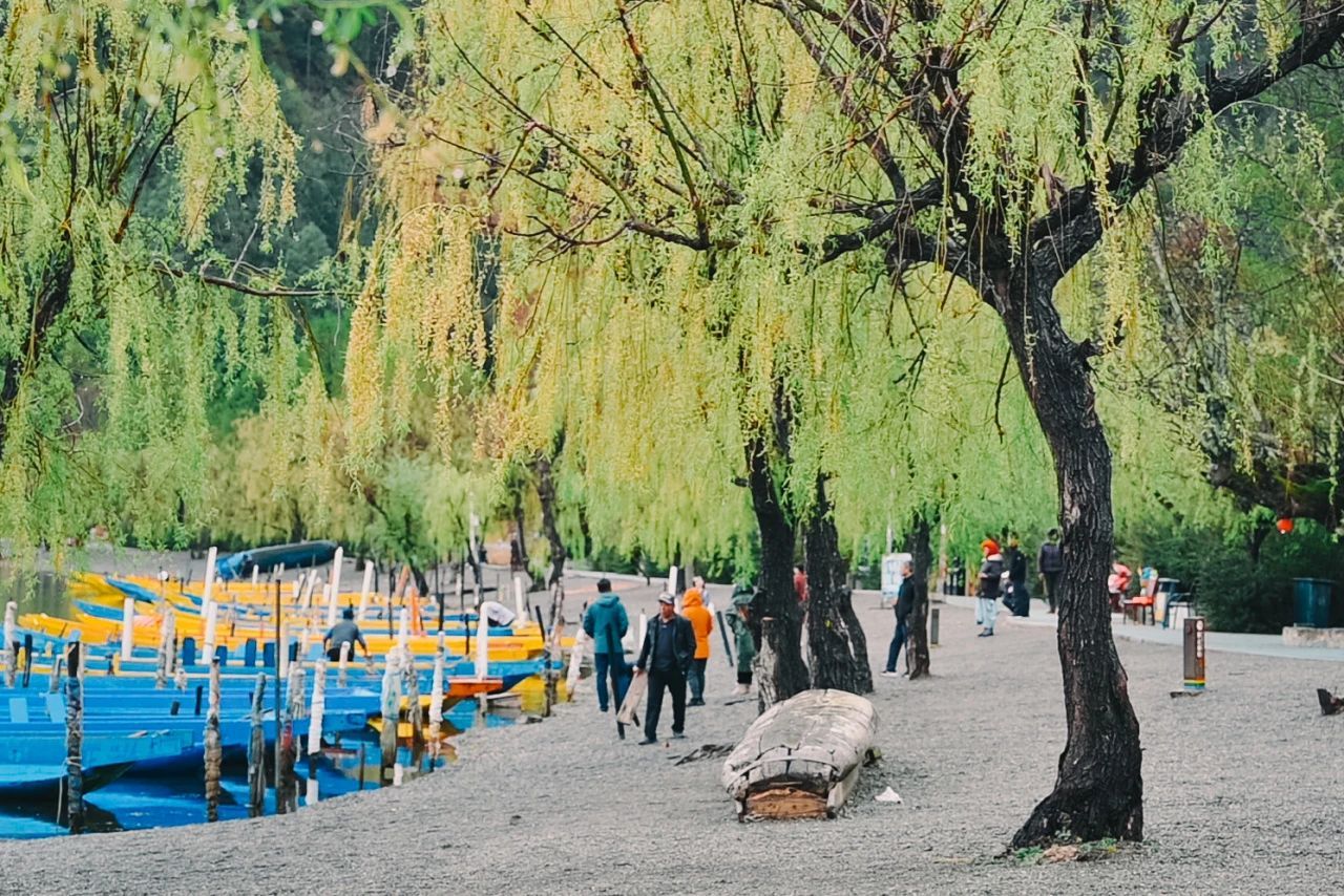 云南省文化和旅游厅