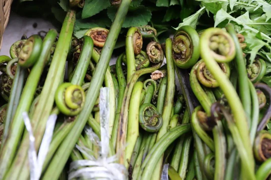 云南省文化和旅游厅