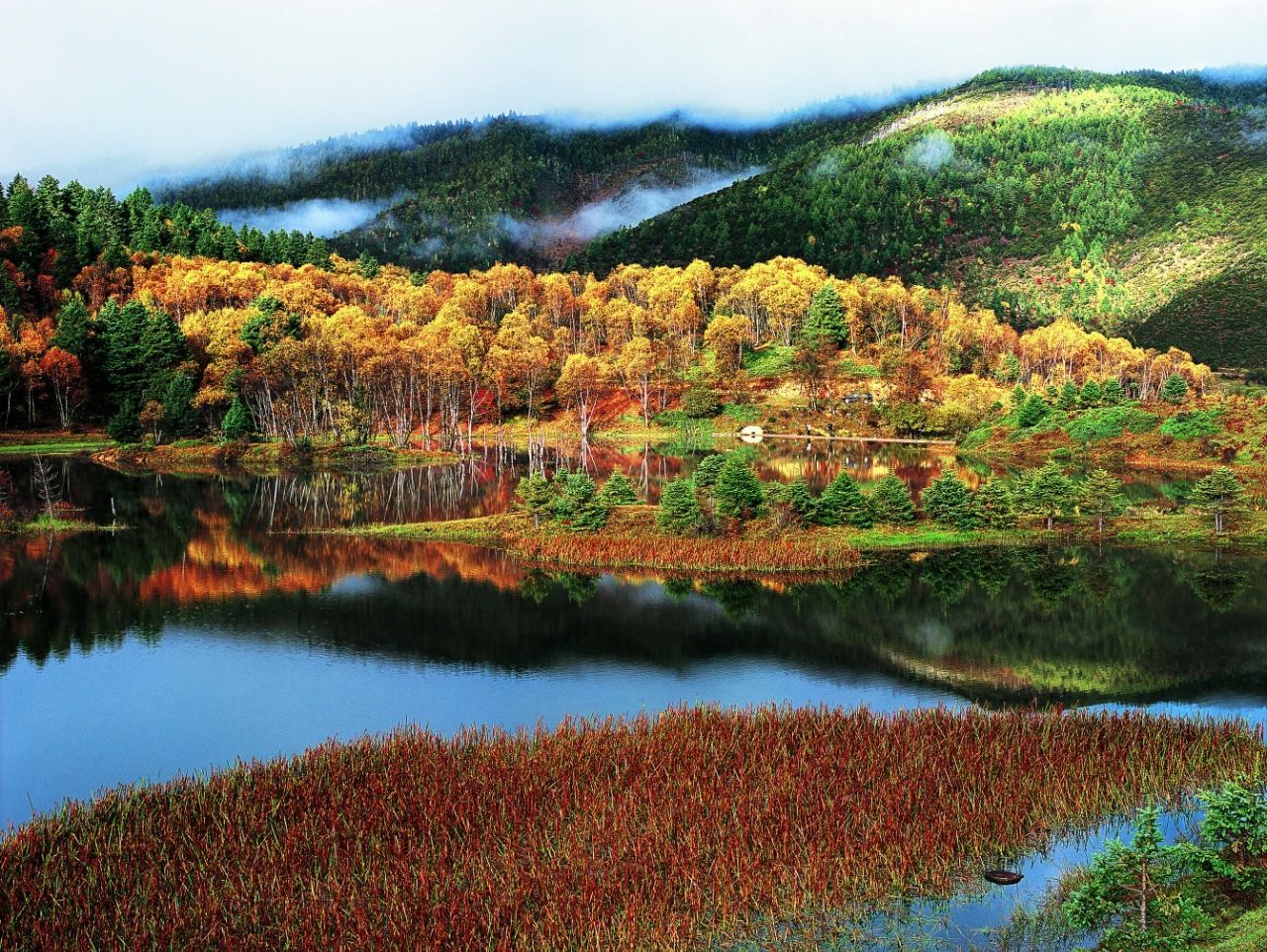 云南省文化和旅游厅