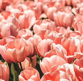 昆明市第一人民医院