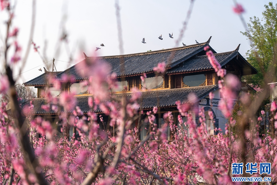 云南省文化和旅游厅