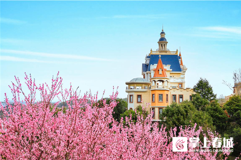 云南省文化和旅游厅