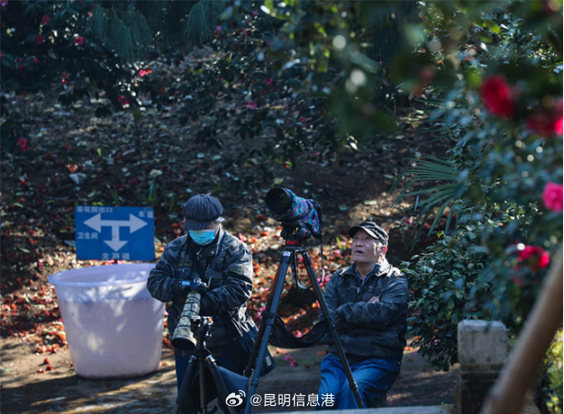 昆明信息港微博