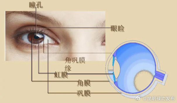 近视的人最好少吃甜食 