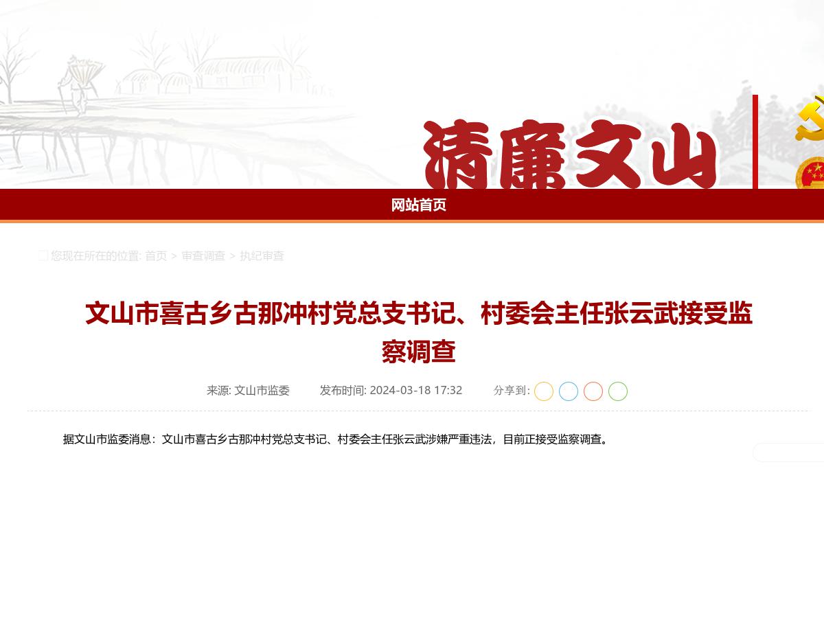 文山市喜古乡古那冲村党总支书记、村委会主任张云武接受监察调查