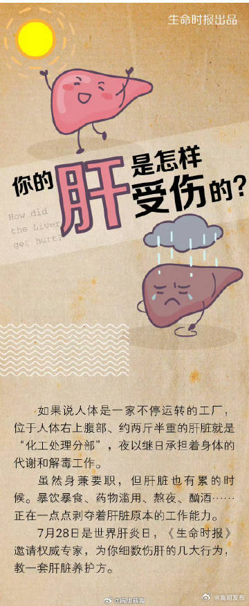 嵩明发布