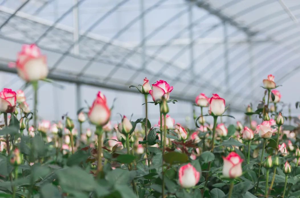 晋宁诗意的栖居地