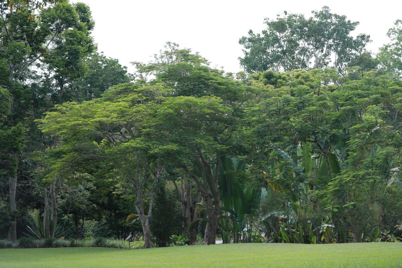 云南省文化和旅游厅