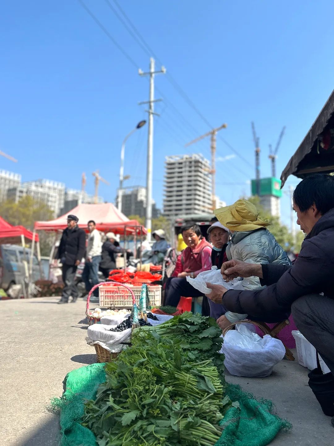 盘龙统战