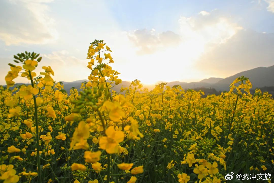 腾冲文旅