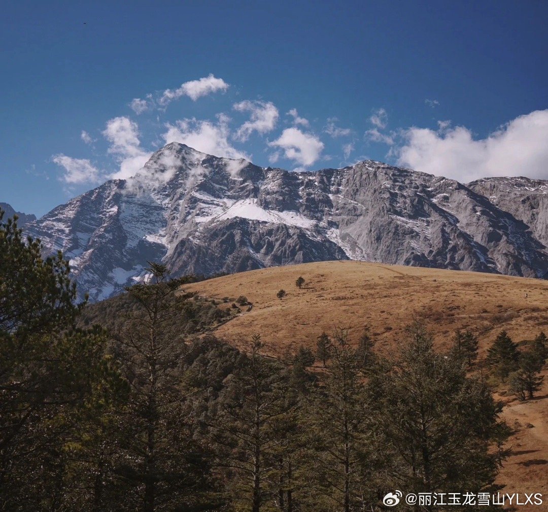 森林火险气象预警