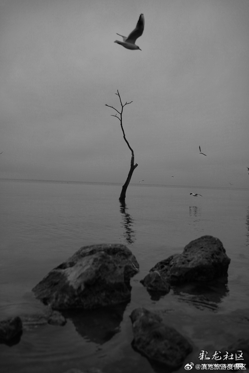 昆明滇池国家旅游度假区第二届文创大赛作品