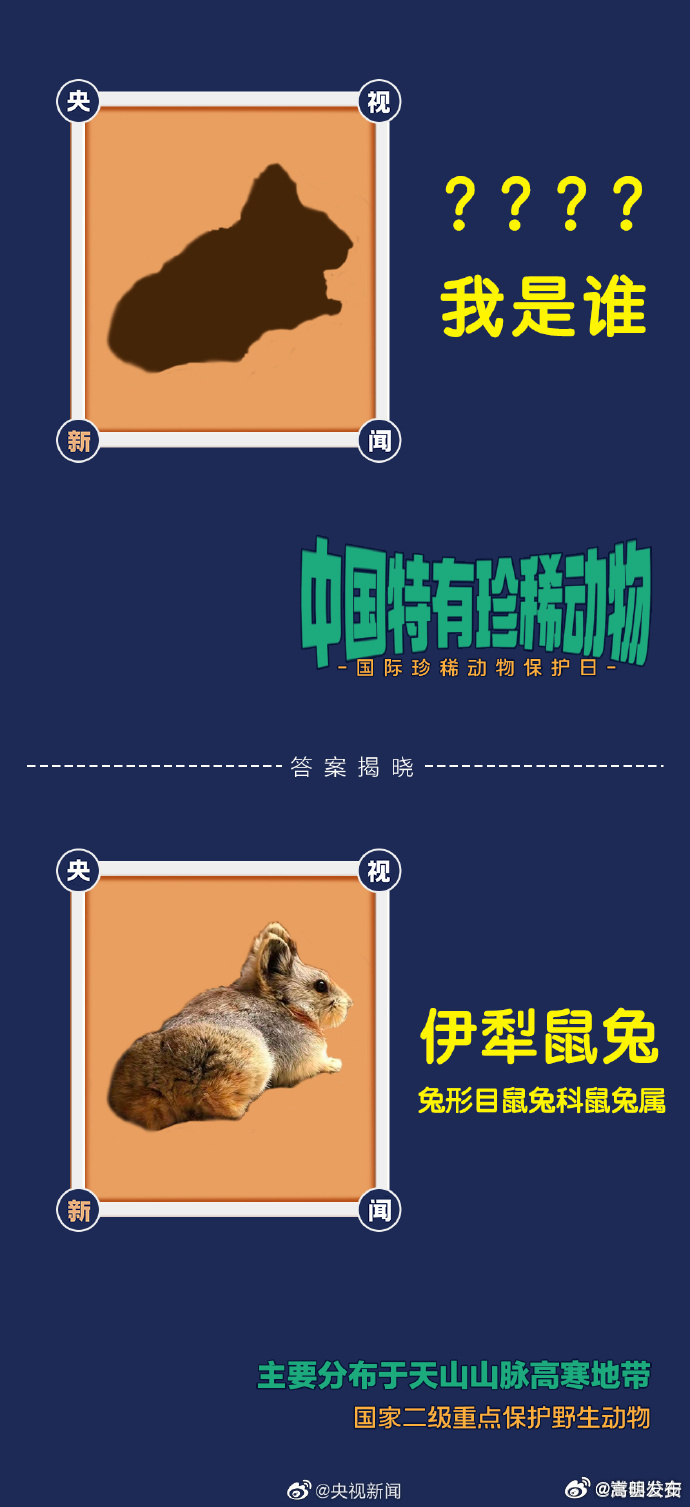 嵩明发布