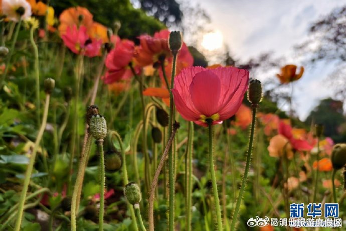 滇池旅游度假区