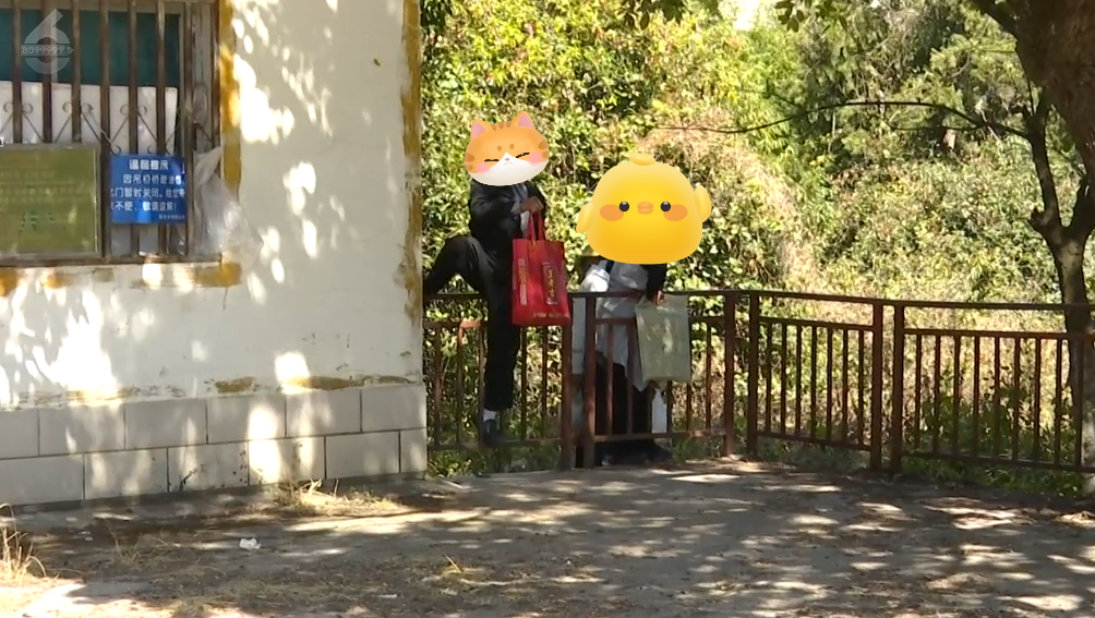 春城晚报