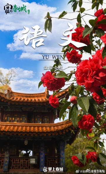 呈贡发布