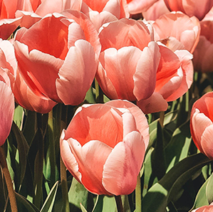 昆明市第一人民医院