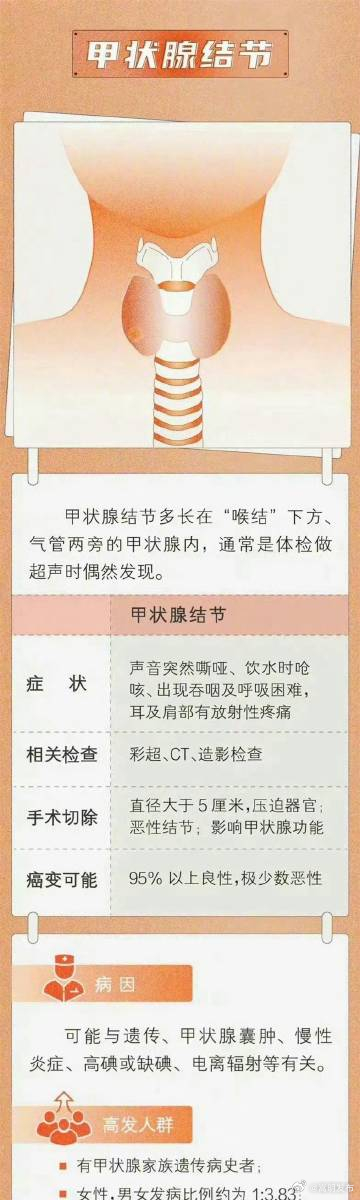 嵩明发布