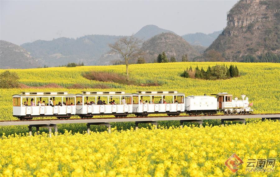 云南省文化和旅游厅