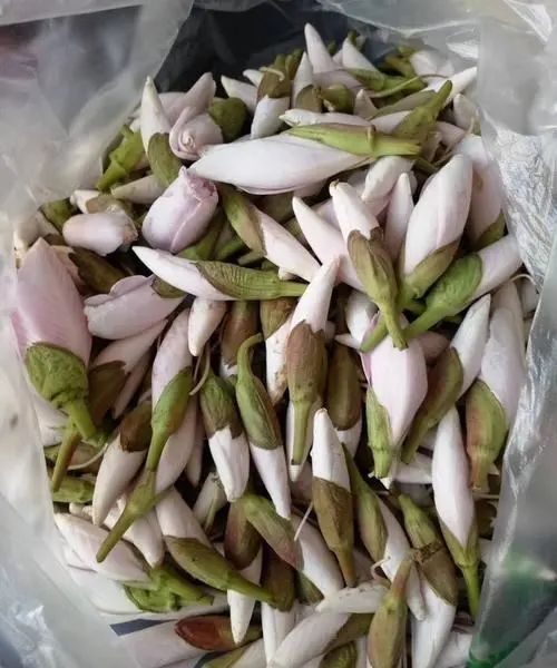 春城晚报