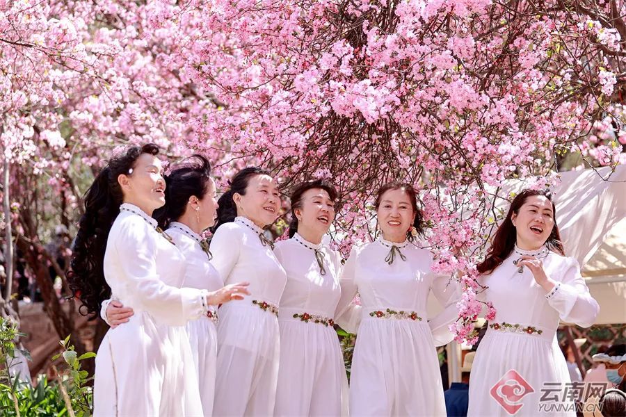 云南省文化和旅游厅