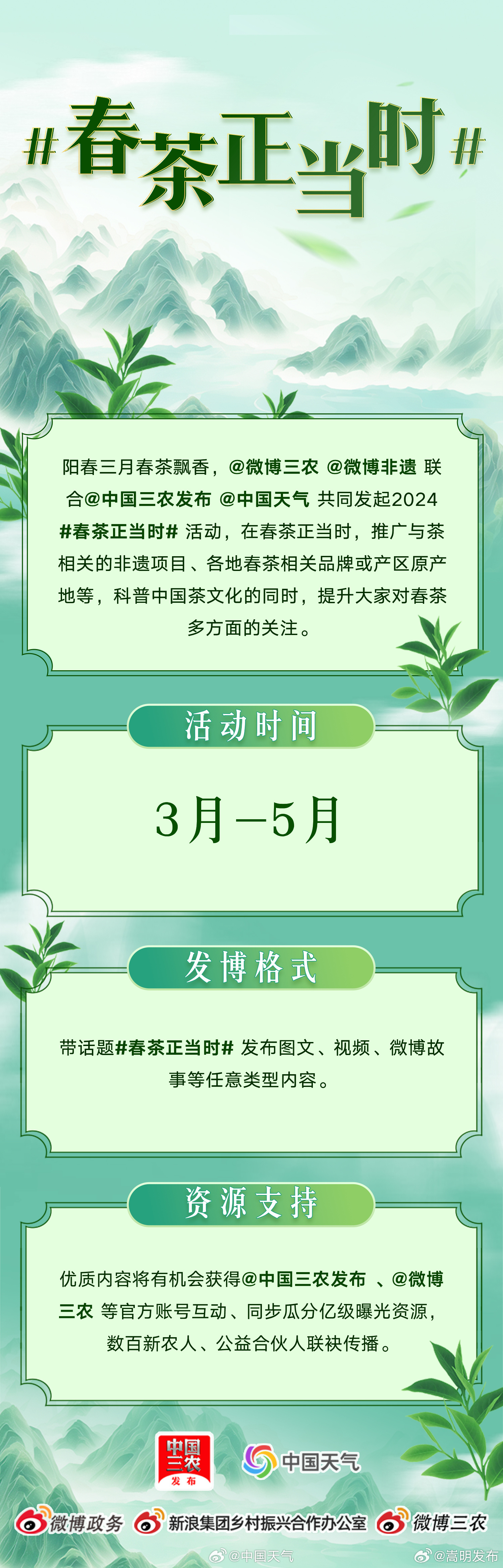 春茶正当时 品味非遗，共赏茶韵风华