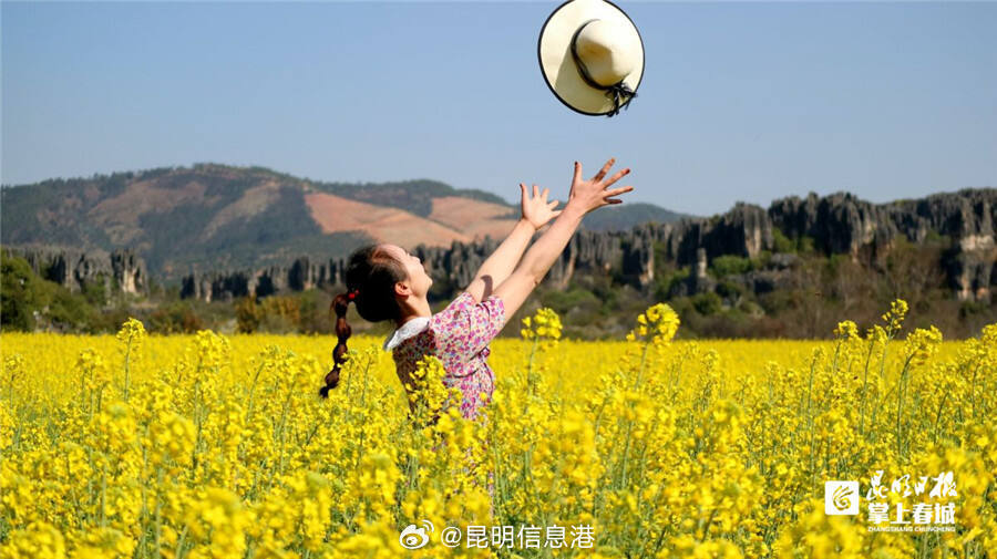 昆明信息港微博