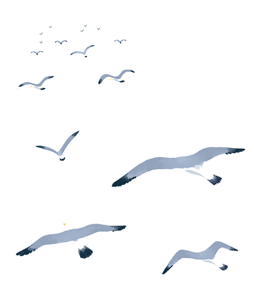 晋宁诗意的栖居地