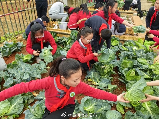 昆明盘龙发布