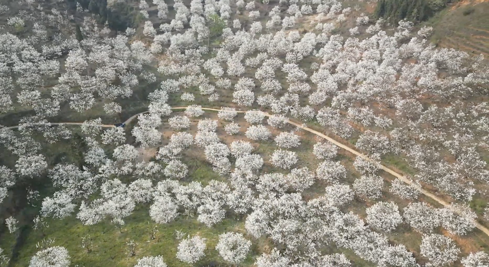 云南省文化和旅游厅