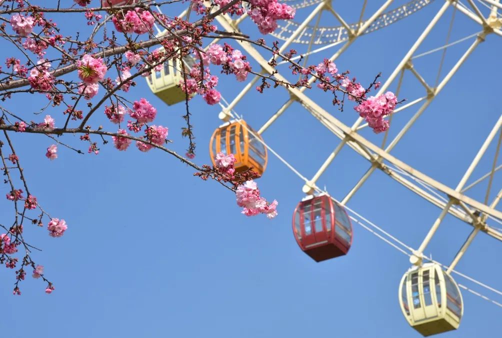晋宁诗意的栖居地