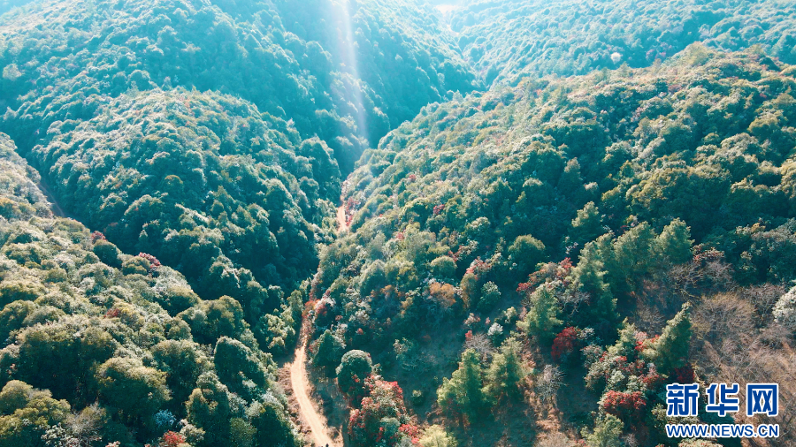 云南省文化和旅游厅