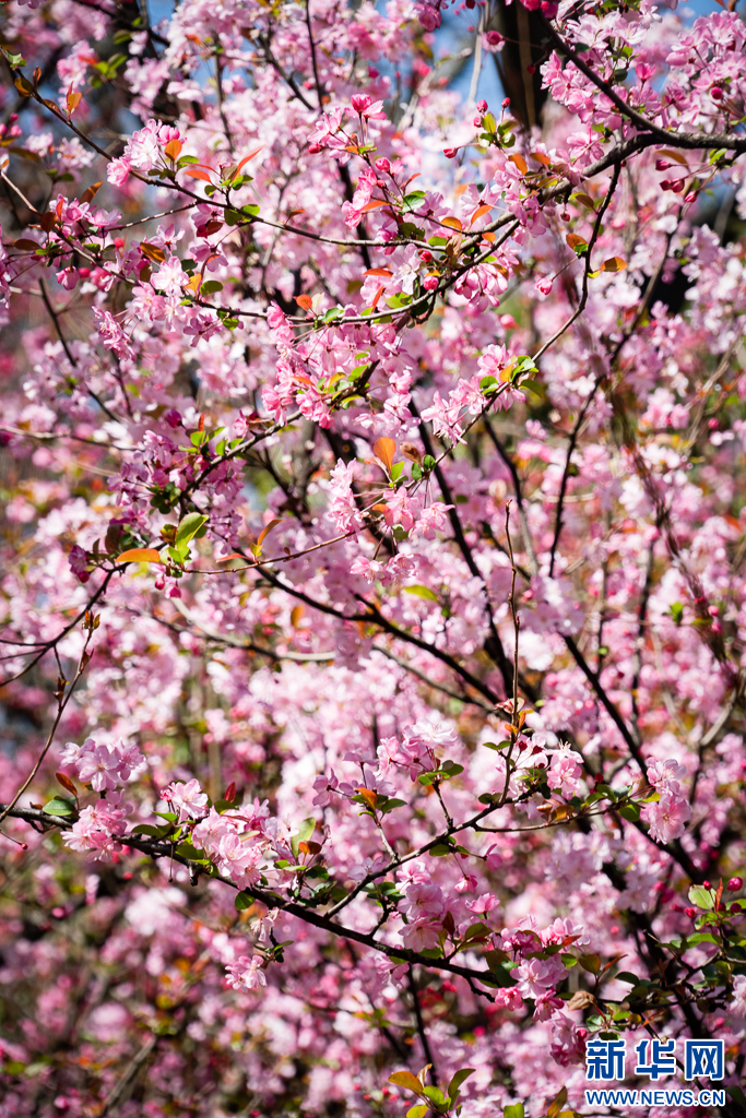 云南省文化和旅游厅